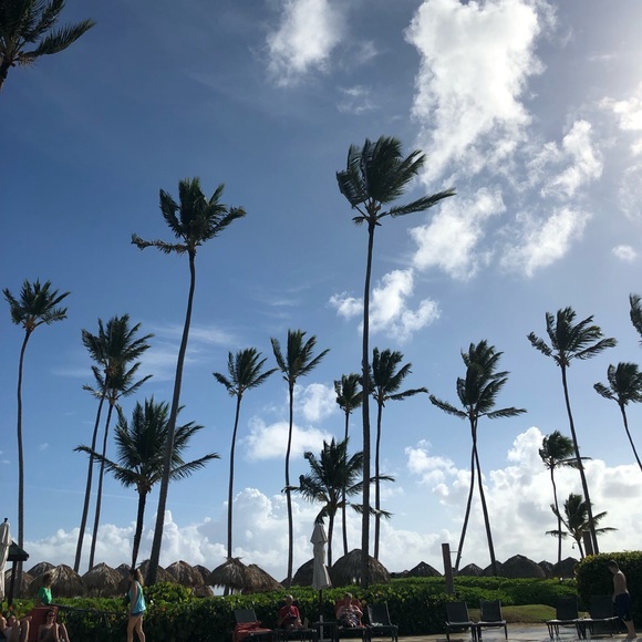 Meet your Posher, Cheryl - Picture 1 of 1